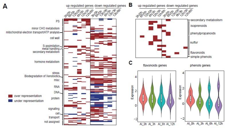 https://cdn.ncbi.nlm.nih.gov/pmc/blobs/7418/7230159/362ebc314ee4/genes-11-00380-g005.jpg