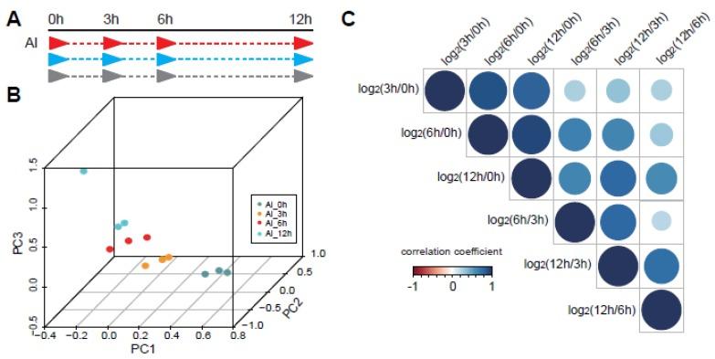 https://cdn.ncbi.nlm.nih.gov/pmc/blobs/7418/7230159/ab27b9c535be/genes-11-00380-g001.jpg