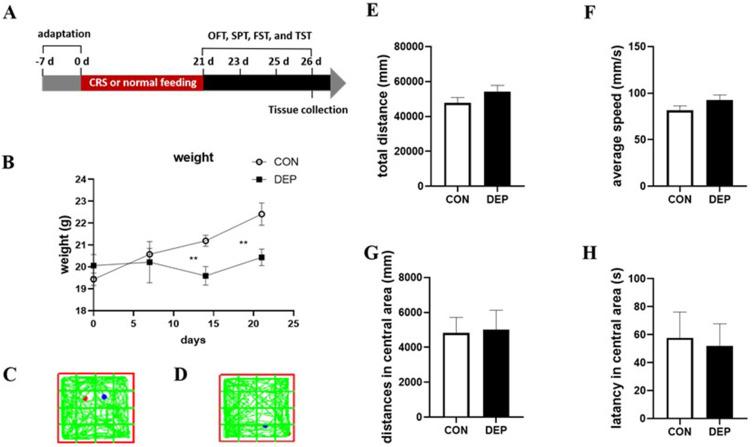 https://cdn.ncbi.nlm.nih.gov/pmc/blobs/741b/11268775/120478d03a8d/NDT-20-1421-g0001.jpg