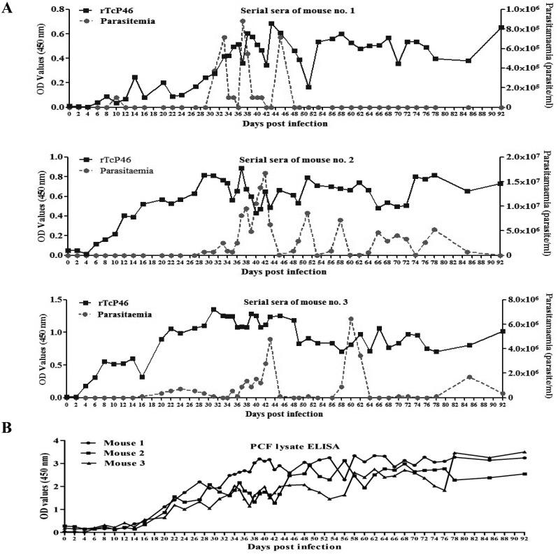 https://cdn.ncbi.nlm.nih.gov/pmc/blobs/741b/4108761/d8bb603d2990/jvms-76-799-g005.jpg