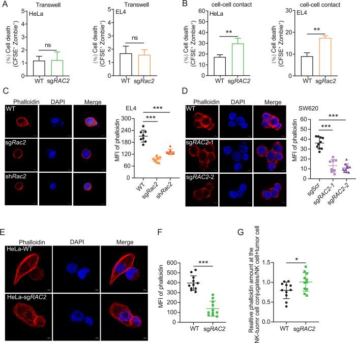 https://cdn.ncbi.nlm.nih.gov/pmc/blobs/741c/12049936/01d6dffe8e87/jitc-13-5-g005.jpg