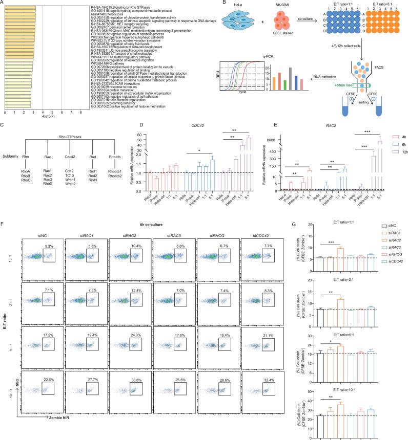 https://cdn.ncbi.nlm.nih.gov/pmc/blobs/741c/12049936/1b4c18566498/jitc-13-5-g001.jpg