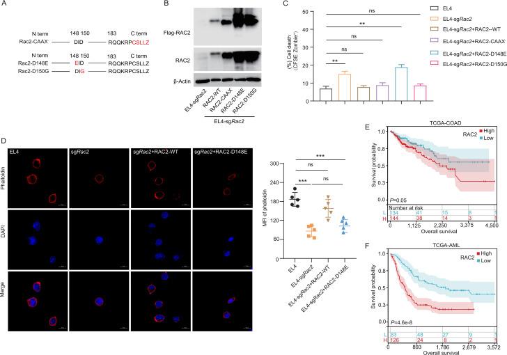 https://cdn.ncbi.nlm.nih.gov/pmc/blobs/741c/12049936/7d0bd795e825/jitc-13-5-g006.jpg