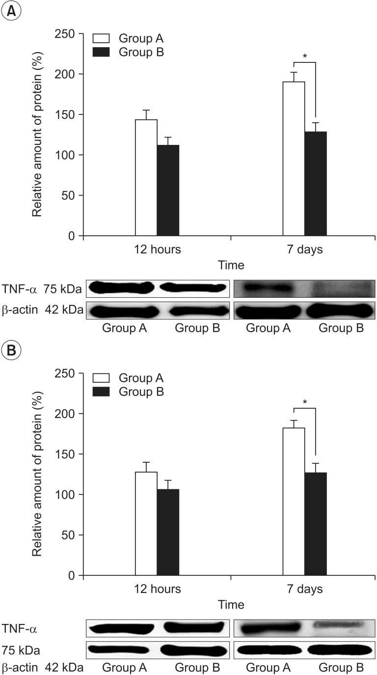 https://cdn.ncbi.nlm.nih.gov/pmc/blobs/741d/4654073/8a79090fa08b/arm-39-667-g004.jpg