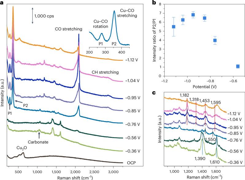 https://cdn.ncbi.nlm.nih.gov/pmc/blobs/741e/11659170/134866a88855/41560_2024_1633_Fig2_HTML.jpg