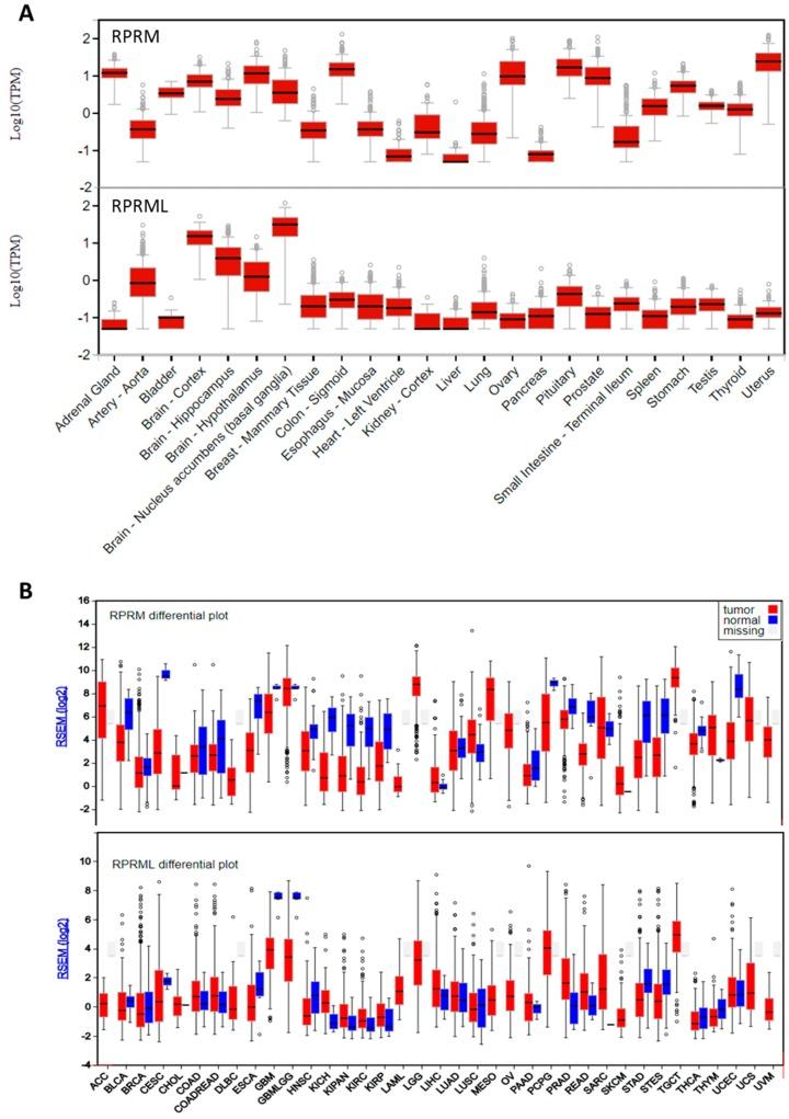 https://cdn.ncbi.nlm.nih.gov/pmc/blobs/7421/6073456/d8461b72c276/ijms-19-01862-g003.jpg