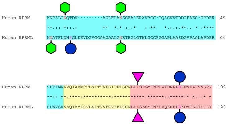 https://cdn.ncbi.nlm.nih.gov/pmc/blobs/7421/6073456/e073fe20e81a/ijms-19-01862-g001a.jpg