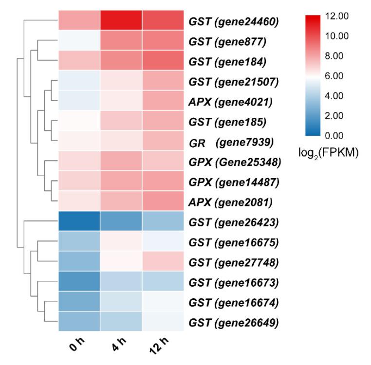https://cdn.ncbi.nlm.nih.gov/pmc/blobs/7424/8156352/6779b237fc46/biomolecules-11-00736-g007.jpg