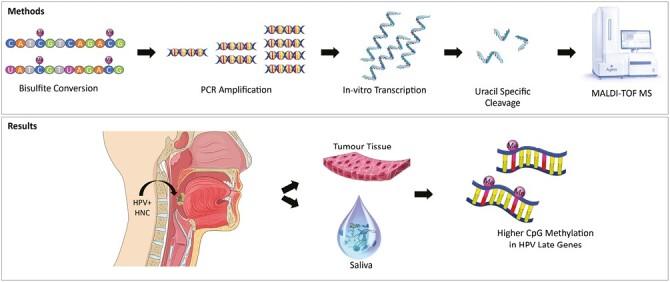 https://cdn.ncbi.nlm.nih.gov/pmc/blobs/742c/10925951/4a4bcf2c3280/bgae001_fig5.jpg