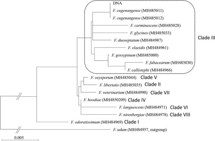 https://cdn.ncbi.nlm.nih.gov/pmc/blobs/742c/7752399/2e9ffa2753f7/CCR3-8-3533-g004.jpg