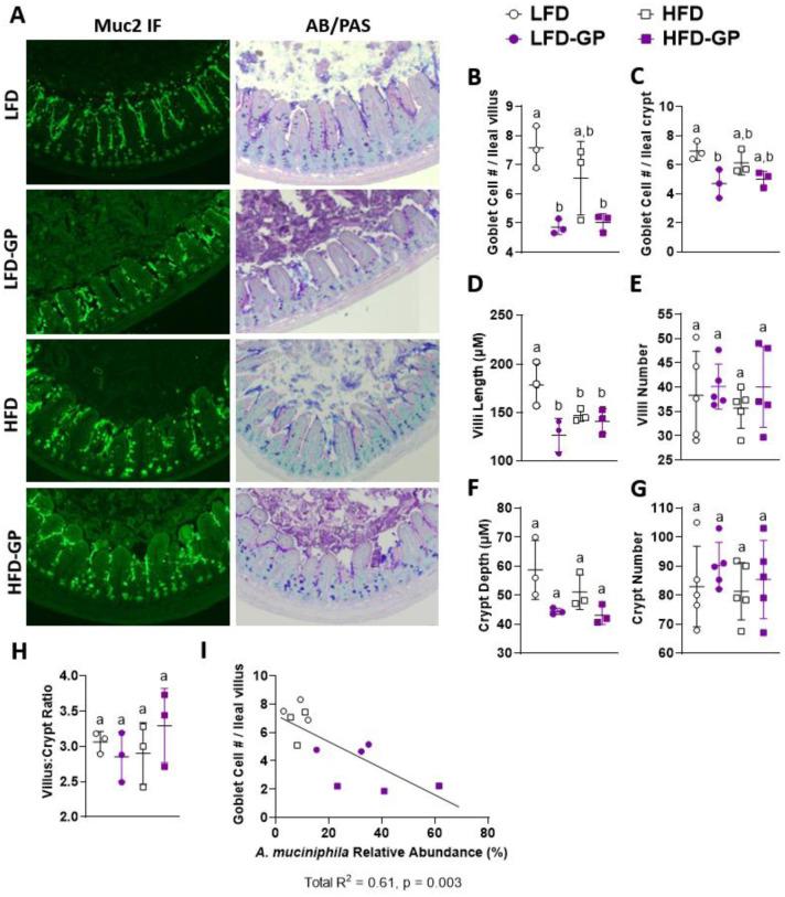 https://cdn.ncbi.nlm.nih.gov/pmc/blobs/742d/9834079/aaae5a332099/microbiol-08-04-035-g003.jpg