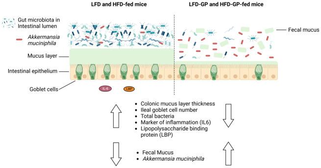 https://cdn.ncbi.nlm.nih.gov/pmc/blobs/742d/9834079/b77b63aefd86/microbiol-08-04-035-g005.jpg