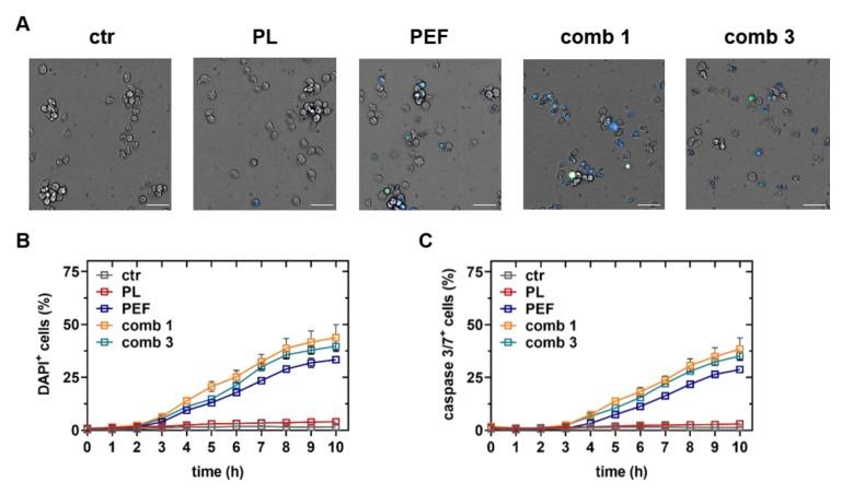 https://cdn.ncbi.nlm.nih.gov/pmc/blobs/742e/7226014/0e95294cfa31/cancers-12-00845-g004.jpg