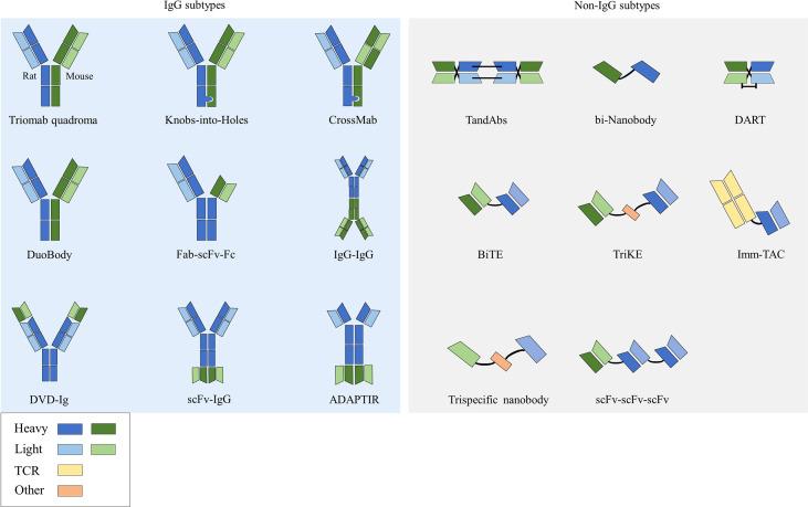https://cdn.ncbi.nlm.nih.gov/pmc/blobs/742e/9630604/14c715d049df/fimmu-13-1020003-g001.jpg