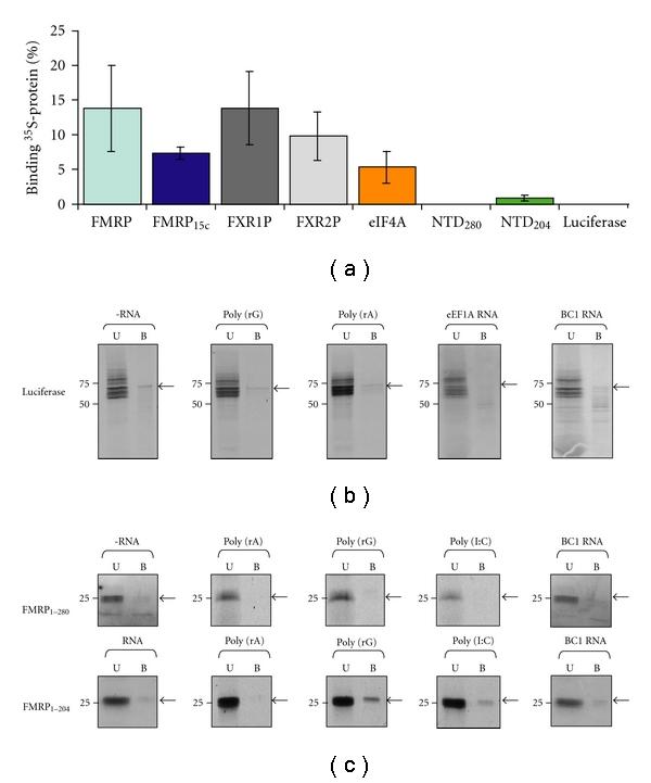 https://cdn.ncbi.nlm.nih.gov/pmc/blobs/7432/3136132/cb0b752e0a7e/JNA2011-246127.007.jpg