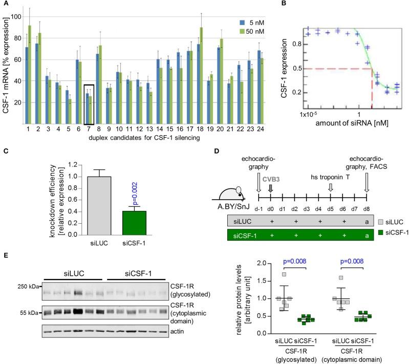https://cdn.ncbi.nlm.nih.gov/pmc/blobs/7432/6186826/0ec0749e0831/fimmu-09-02303-g0003.jpg