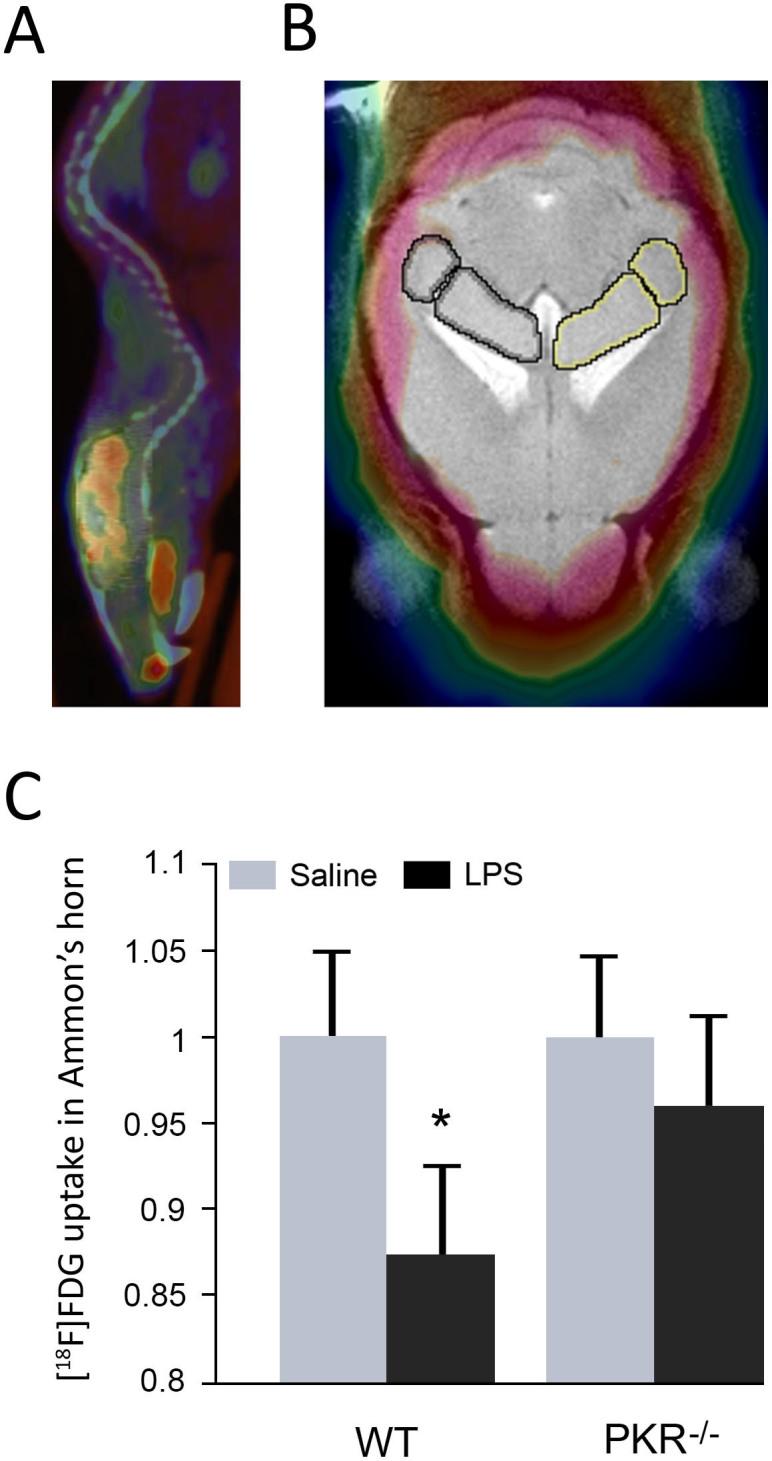 https://cdn.ncbi.nlm.nih.gov/pmc/blobs/7433/4330547/0875c4ae63c1/srep08489-f5.jpg