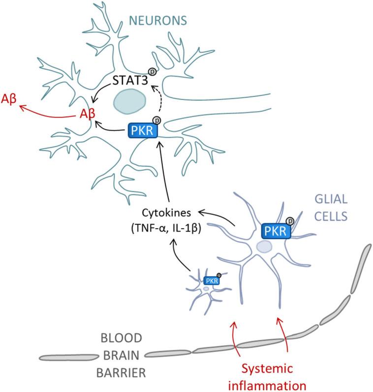 https://cdn.ncbi.nlm.nih.gov/pmc/blobs/7433/4330547/f1131c5b85f7/srep08489-f6.jpg