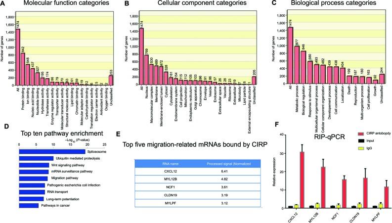 https://cdn.ncbi.nlm.nih.gov/pmc/blobs/7433/6417006/e7fe450f7aa2/cmar-11-2015Fig6.jpg
