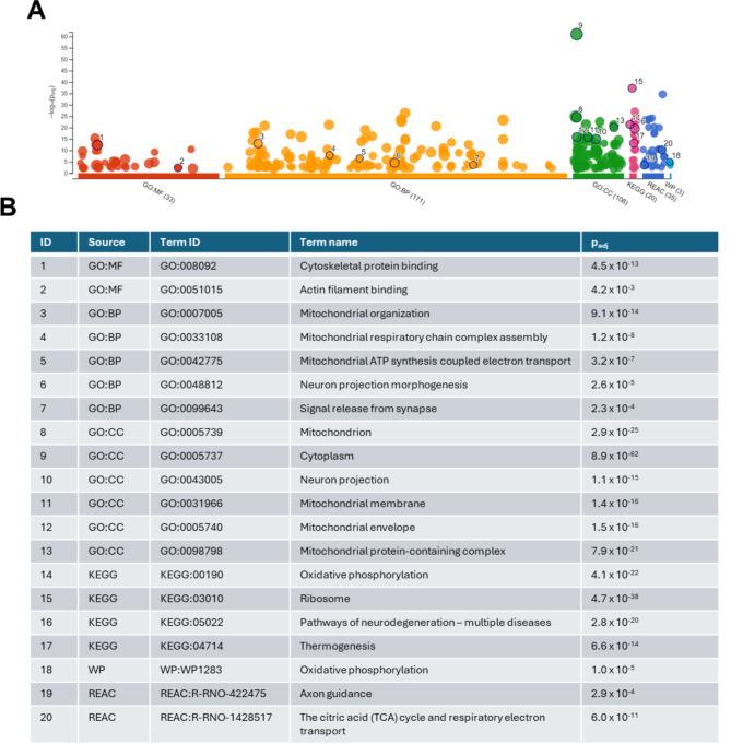 https://cdn.ncbi.nlm.nih.gov/pmc/blobs/7437/11762322/e5a3c2a0f790/41598_2025_87300_Fig4_HTML.jpg