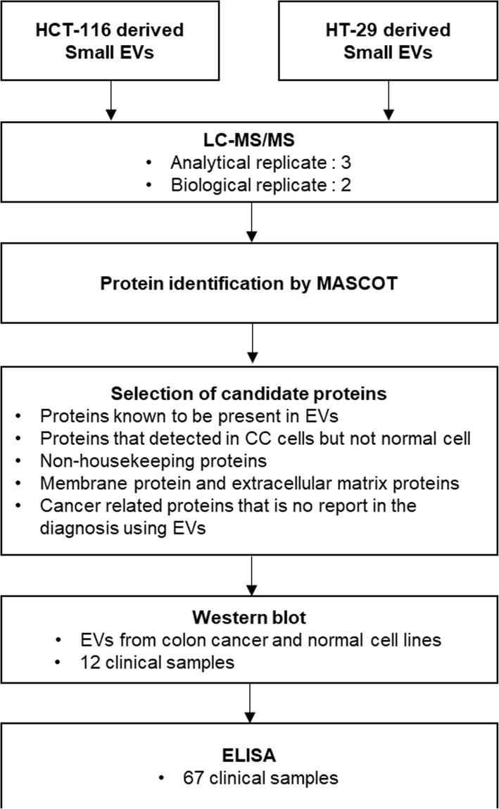 https://cdn.ncbi.nlm.nih.gov/pmc/blobs/7437/6211419/b551ce1a2c58/12885_2018_4952_Fig1_HTML.jpg