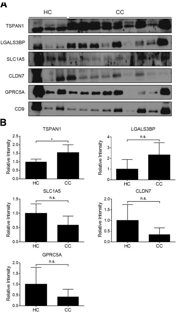 https://cdn.ncbi.nlm.nih.gov/pmc/blobs/7437/6211419/bd5522309c9d/12885_2018_4952_Fig5_HTML.jpg