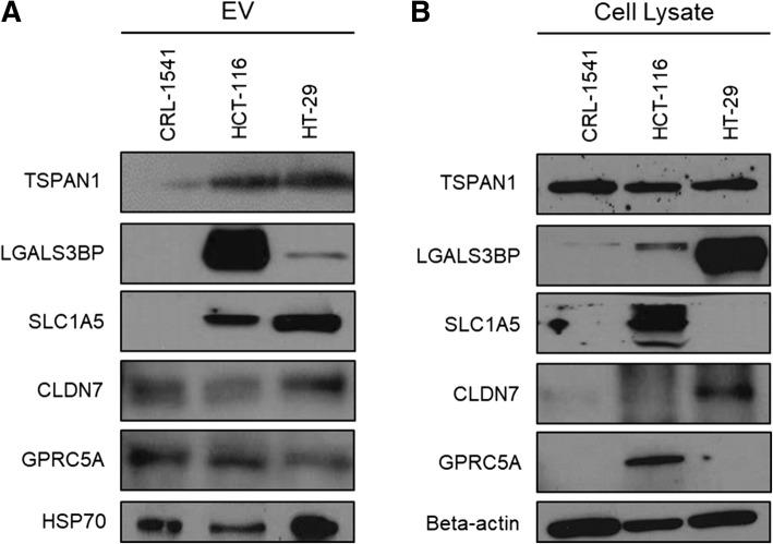 https://cdn.ncbi.nlm.nih.gov/pmc/blobs/7437/6211419/e94891921d05/12885_2018_4952_Fig4_HTML.jpg