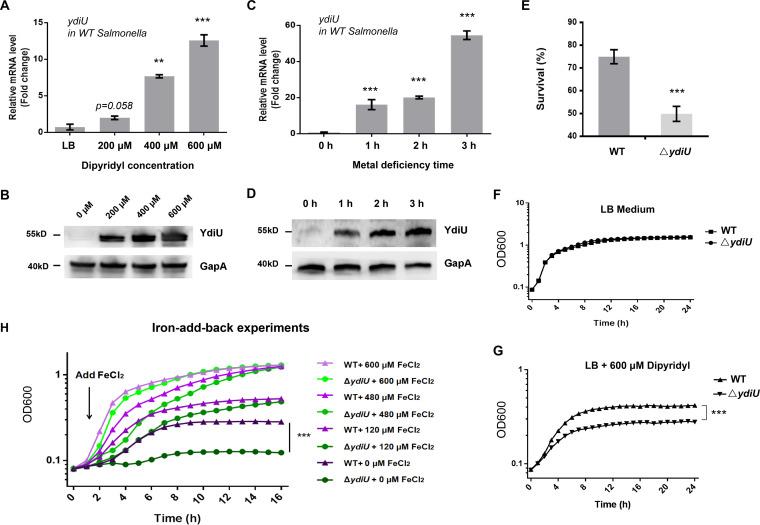 https://cdn.ncbi.nlm.nih.gov/pmc/blobs/7439/9239237/04d591f51d87/mbio.00207-22-f001.jpg