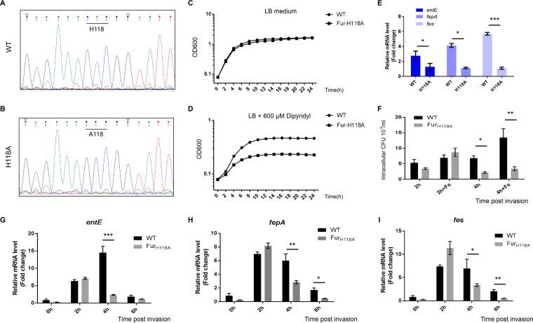 https://cdn.ncbi.nlm.nih.gov/pmc/blobs/7439/9239237/9971cf5b59ac/mbio.00207-22-f007.jpg