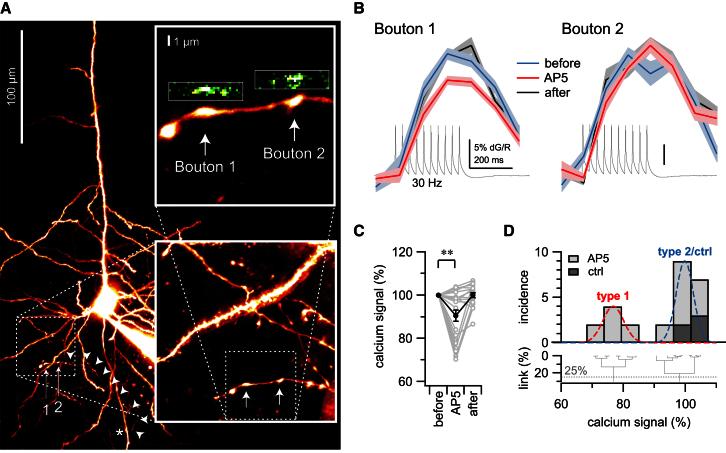 https://cdn.ncbi.nlm.nih.gov/pmc/blobs/743a/3657167/06d72d436526/gr4.jpg