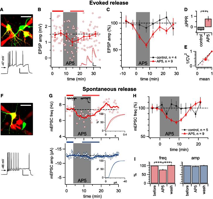 https://cdn.ncbi.nlm.nih.gov/pmc/blobs/743a/3657167/3cba07a15501/gr5.jpg
