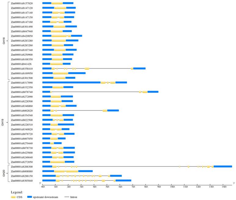 https://cdn.ncbi.nlm.nih.gov/pmc/blobs/743b/11353892/3eaa2e8922ae/genes-15-01087-g003.jpg