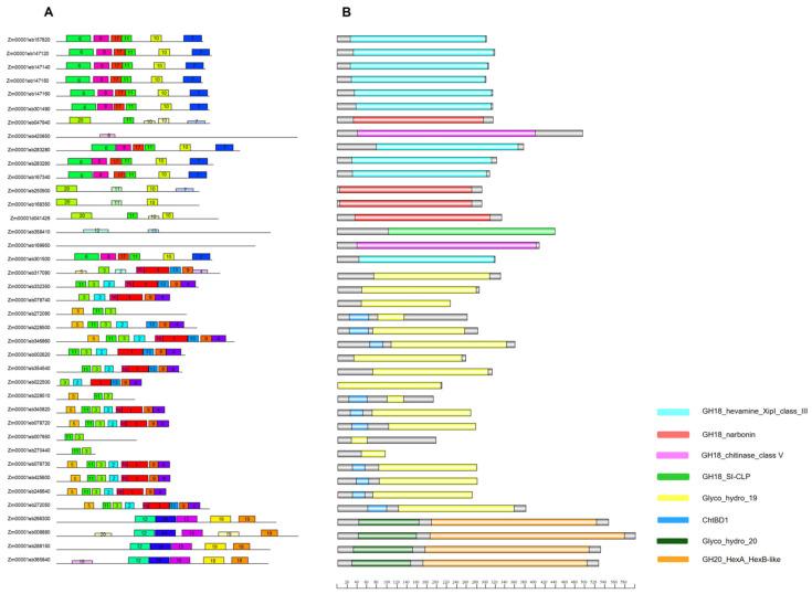 https://cdn.ncbi.nlm.nih.gov/pmc/blobs/743b/11353892/ca190d03eafa/genes-15-01087-g004.jpg