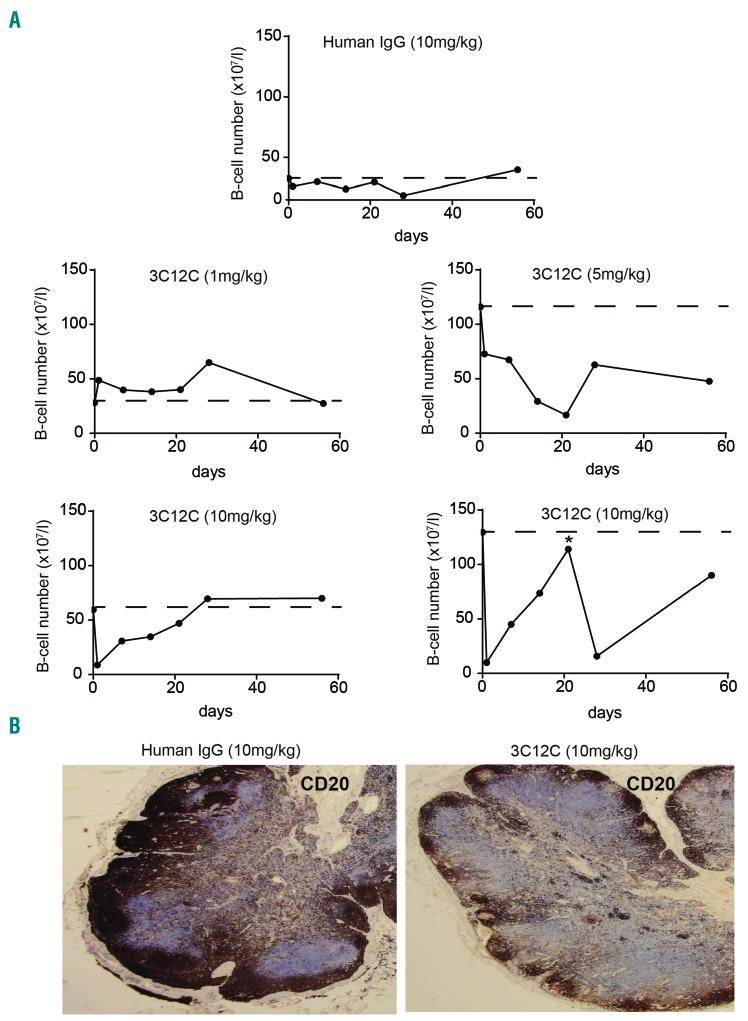 https://cdn.ncbi.nlm.nih.gov/pmc/blobs/743b/5865416/94f813b4b8ac/103655.fig7.jpg