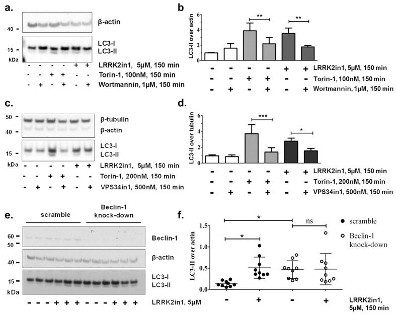 https://cdn.ncbi.nlm.nih.gov/pmc/blobs/743d/5059726/2e1ed2e0310a/srep35106-f4.jpg