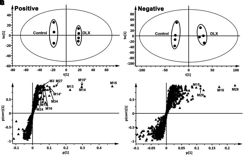 https://cdn.ncbi.nlm.nih.gov/pmc/blobs/743d/8969139/a654394aaf4d/dmd.121.000633f1.jpg