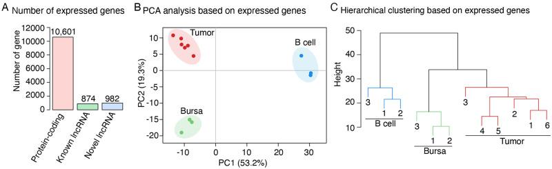https://cdn.ncbi.nlm.nih.gov/pmc/blobs/743e/9359530/5537cc924b43/pone.0272557.g002.jpg