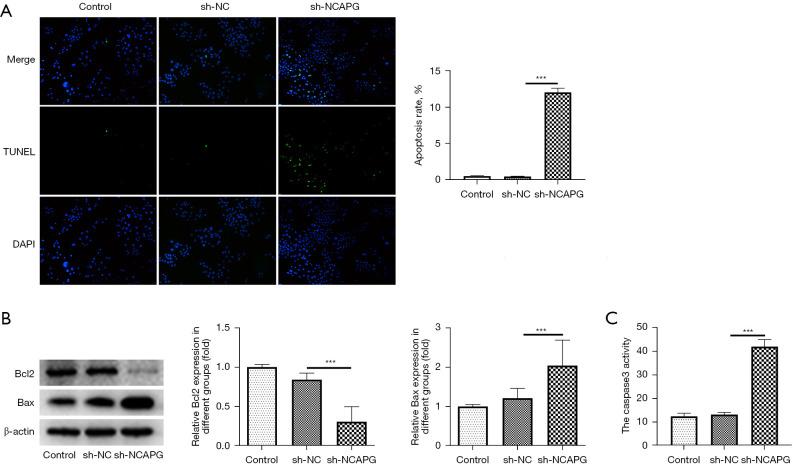 https://cdn.ncbi.nlm.nih.gov/pmc/blobs/7440/10186512/a32730006a3c/jgo-14-02-900-f2.jpg