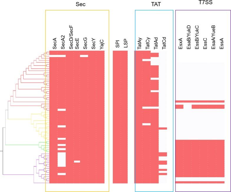 https://cdn.ncbi.nlm.nih.gov/pmc/blobs/7442/6171300/1e472bdc07a3/12934_2018_1005_Fig1_HTML.jpg