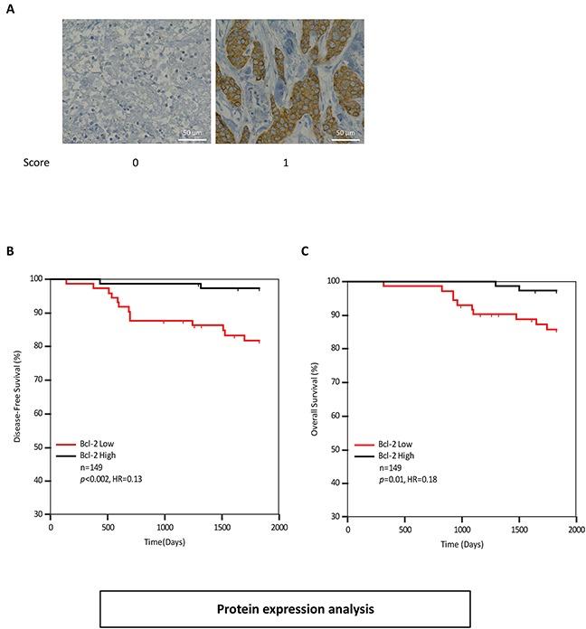 https://cdn.ncbi.nlm.nih.gov/pmc/blobs/7443/5078093/783978d1c40b/oncotarget-07-33272-g005.jpg