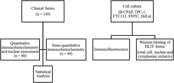 https://cdn.ncbi.nlm.nih.gov/pmc/blobs/7444/4107960/d139fa822d1a/1471-2407-14-492-1.jpg
