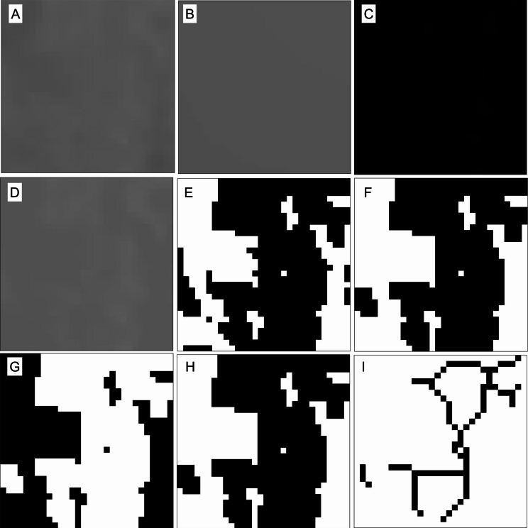 https://cdn.ncbi.nlm.nih.gov/pmc/blobs/7445/12124021/482f9410417b/12903_2025_6234_Fig2_HTML.jpg