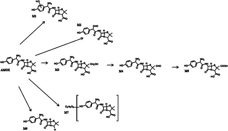 https://cdn.ncbi.nlm.nih.gov/pmc/blobs/7449/4111861/d504699d7493/10337_2014_2648_Fig4_HTML.jpg
