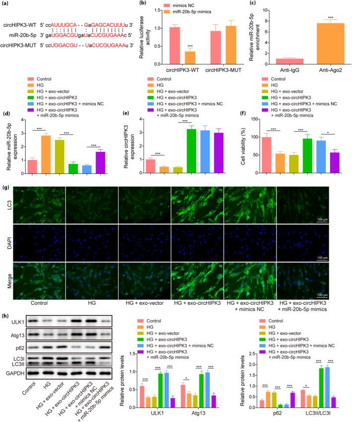 https://cdn.ncbi.nlm.nih.gov/pmc/blobs/744a/10688123/5de1e9ce7bb0/JDI-14-1344-g001.jpg