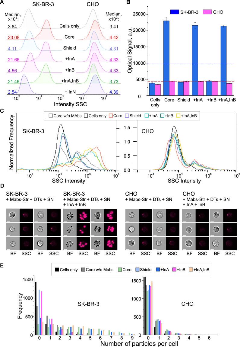 https://cdn.ncbi.nlm.nih.gov/pmc/blobs/744d/12374668/213d72f479b2/thnov15p8451g008.jpg