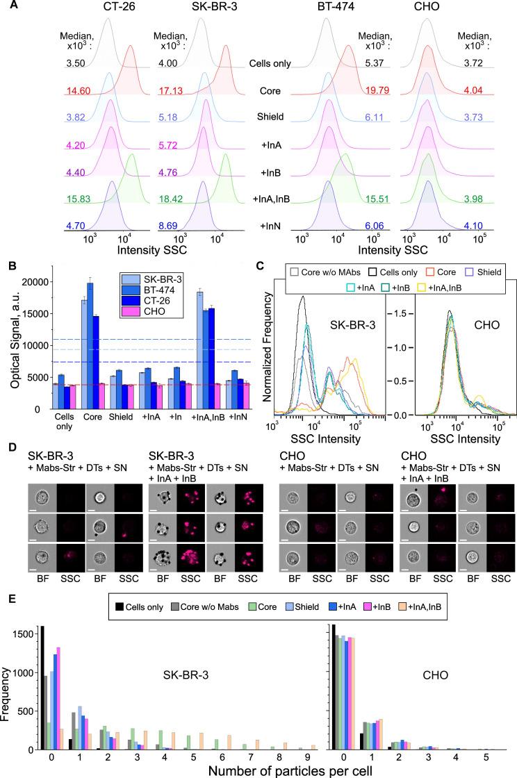https://cdn.ncbi.nlm.nih.gov/pmc/blobs/744d/12374668/9dc894eeb6ec/thnov15p8451g009.jpg