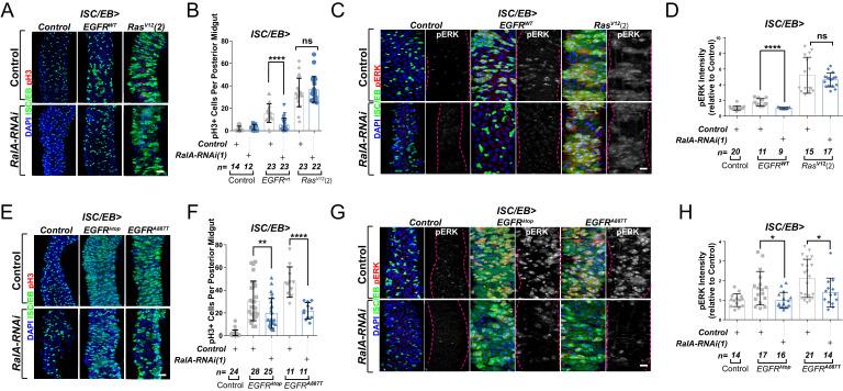 https://cdn.ncbi.nlm.nih.gov/pmc/blobs/744d/8216719/3a41dc70a3eb/elife-63807-fig3.jpg