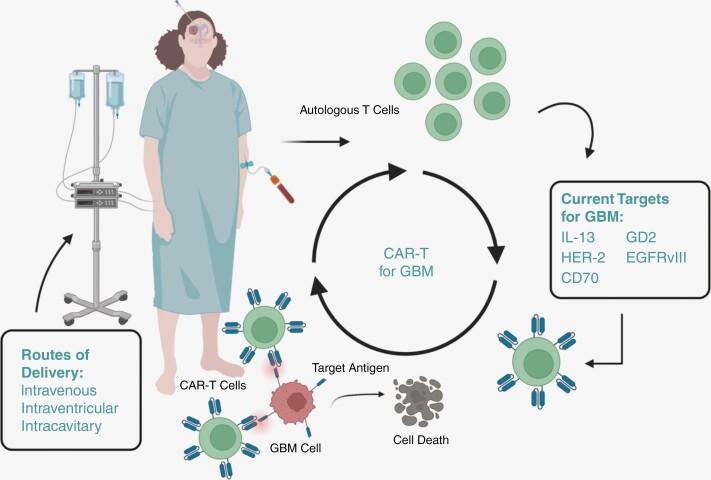 https://cdn.ncbi.nlm.nih.gov/pmc/blobs/7450/10939440/08bfa8cd2b40/vdae025_fig1.jpg