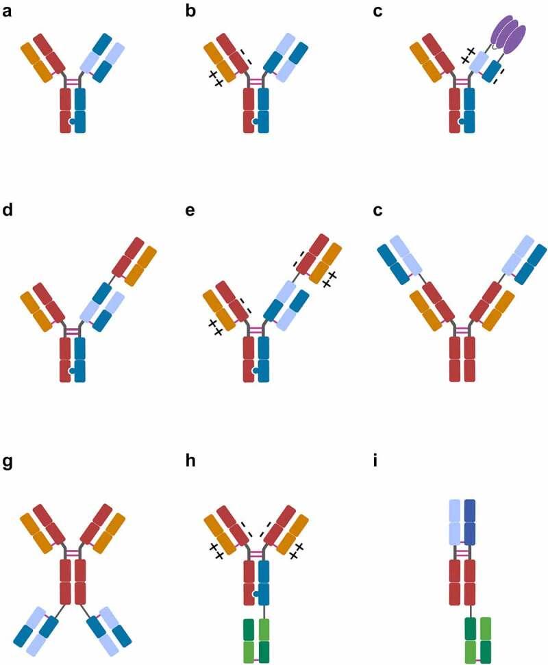 https://cdn.ncbi.nlm.nih.gov/pmc/blobs/7450/8425689/34a191625540/KMAB_A_1967714_F0002_OC.jpg