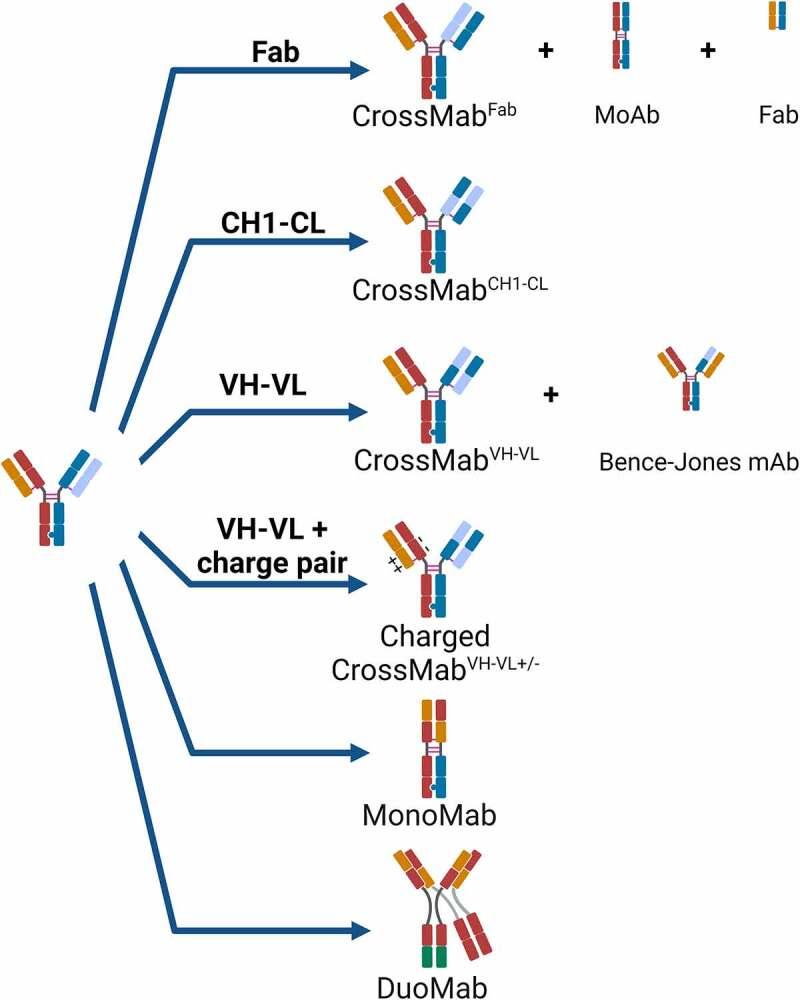 https://cdn.ncbi.nlm.nih.gov/pmc/blobs/7450/8425689/5bcd51514745/KMAB_A_1967714_F0001_OC.jpg